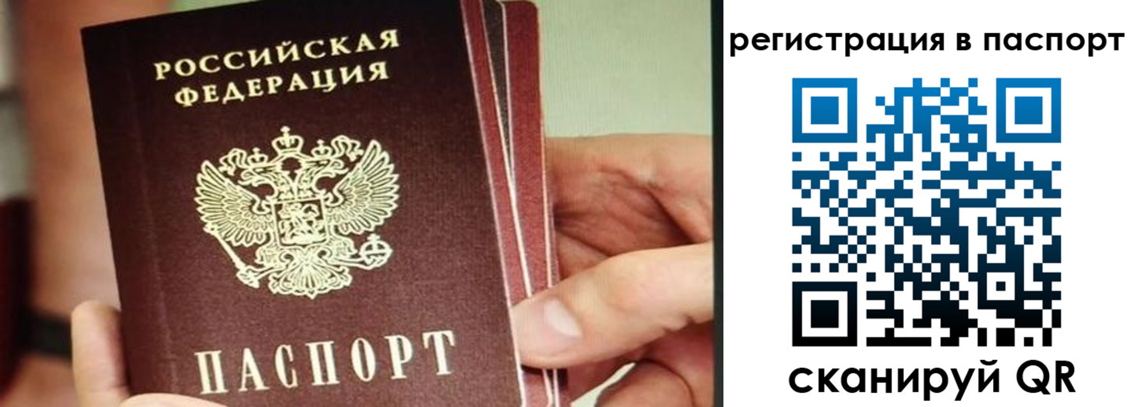 временная регистрация надежно в Реутове